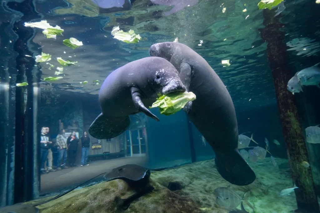 The Columbus Zoo and Aquarium